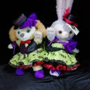 「マジシャンアリス」クッキー・アン　コスチューム　Sサイズ
