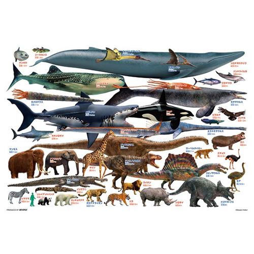 ビバリー L74-184 巨大生物くらべてみよう！