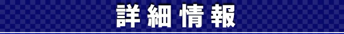 詳細情報